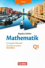 Bigalke/Köhler: Mathematik - Hessen - Ausgabe 2016 - Grundkurs 1. Halbjahr
