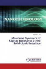 Molecular Dynamics of Kapitza Resistance at the Solid-Liquid Interface