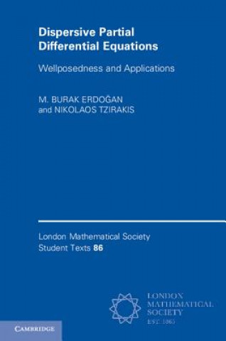 Dispersive Partial Differential Equations