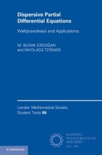Dispersive Partial Differential Equations