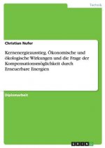 Kernenergieausstieg. OEkonomische und oekologische Wirkungen und die Frage der Kompensationsmoeglichkeit durch Erneuerbare Energien