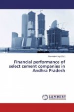 Financial performance of select cement companies in Andhra Pradesh