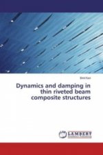 Dynamics and damping in thin riveted beam composite structures
