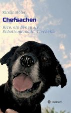 Chefsachen