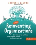 Reinventing Organizations visuell