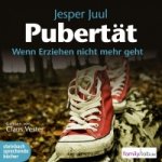 Pubertät - Wenn Erziehen nicht mehr geht, 1 MP3-CD