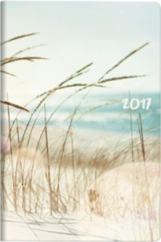 Sichtkalender (15 x 9 cm) Strand 2020
