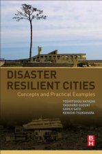 Disaster Resilient Cities