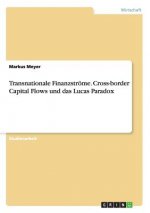Transnationale Finanzstroeme. Cross-border Capital Flows und das Lucas Paradox
