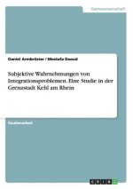 Subjektive Wahrnehmungen von Integrationsproblemen. Eine Studie in der Grenzstadt Kehl am Rhein
