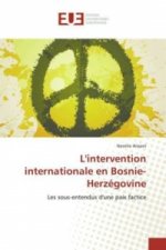 L'intervention internationale en Bosnie-Herzégovine