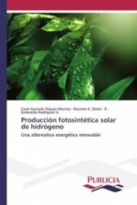 Producción fotosintética solar de hidrógeno