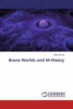 Brane Worlds and M-theory