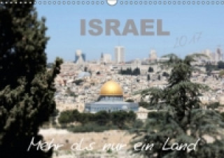 ISRAEL - Mehr als nur ein Land 2017 (Wandkalender 2017 DIN A3 quer)