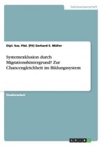 Systemexklusion durch Migrationshintergrund? Zur Chancengleichheit im Bildungssystem