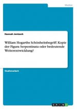 William Hogarths Schönheitsbegriff. Kopie der Figura Serpentinata oder bedeutende Weiterentwicklung?
