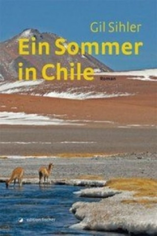 Ein Sommer in Chile