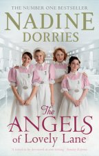 Angels of Lovely Lane