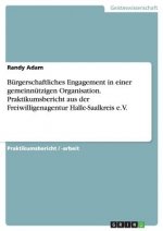 Burgerschaftliches Engagement in einer gemeinnutzigen Organisation. Praktikumsbericht aus der Freiwilligenagentur Halle-Saalkreis e.V.