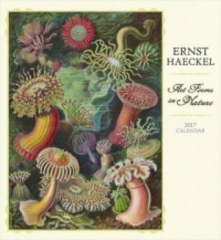 Ernst Haeckel