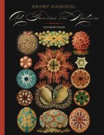 Ernst Haeckel  Art Forms in Nature Coloring Book