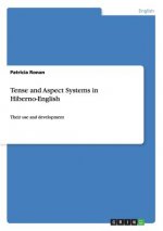 Tense and Aspect Systems in Hiberno-English