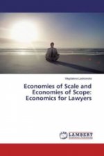 Economies of Scale and Economies of Scope: Economics for Lawyers