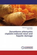 Zerumbone attenuates cisplatin-induced renal and hepatic damage