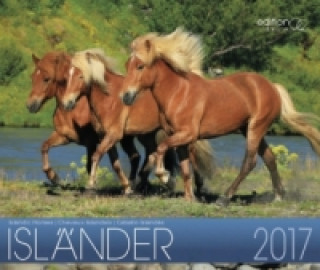 Isländer Pferde 2017