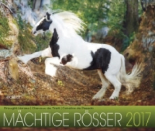 Mächtige Rösser 2017