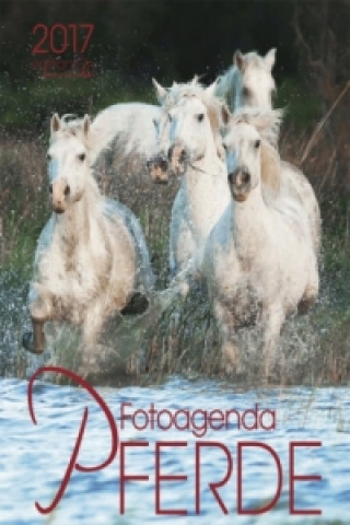 Agenda Pferd 2017