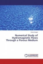 Numerical Study of Hydromagnetic Flows Through a Porous Medium