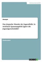 doppelte Mandat der Jugendhilfe. In welchem Spannungsfeld agiert die Jugendgerichtshilfe?