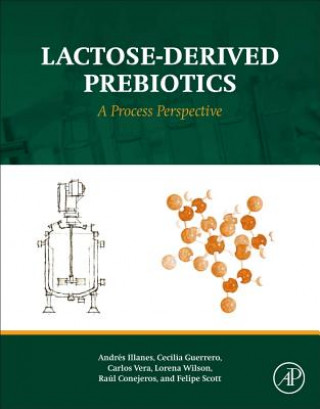 Lactose-Derived Prebiotics