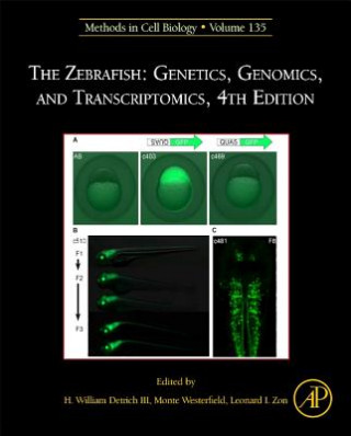 Zebrafish: Genetics, Genomics, and Transcriptomics