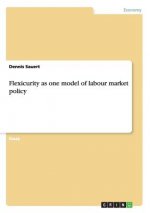 Flexicurity as one model of labour market policy
