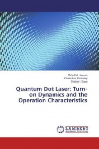 Quantum Dot Laser: Turn-on Dynamics and the Operation Characteristics