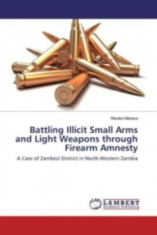 Battling Illicit Small Arms and Light Weapons through Firearm Amnesty