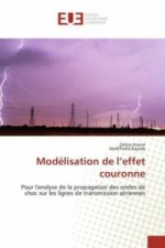 Modélisation de l'effet couronne