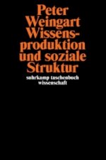 Wissensproduktion und soziale Struktur