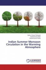 Indian Summer Monsoon Circulation in the Warming Atmosphere