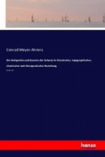 Heilquellen und Kurorte der Schweiz in historischer, topographischer, chemischer und therapeutischer Beziehung