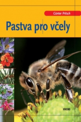 Pastva pro včely