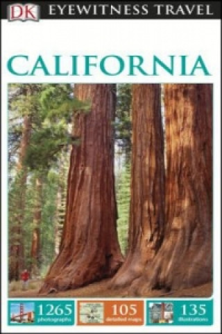 DK Eyewitness Travel Guide California