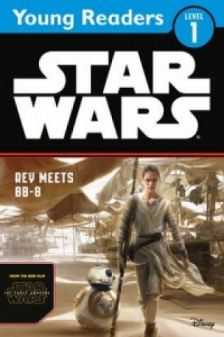 Star Wars The Force Awakens: Rey Meets BB-8
