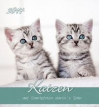 Katzen 2017, Postkartenkalender