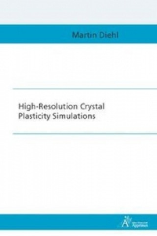 High-Resolution Crystal Plasticity Simulations