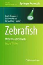 Zebrafish