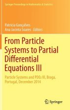 From Particle Systems to Partial Differential Equations III