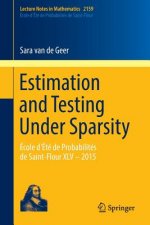 Estimation and Testing Under Sparsity